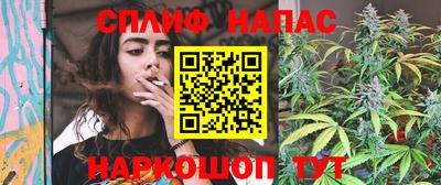 стаф Кунгур
