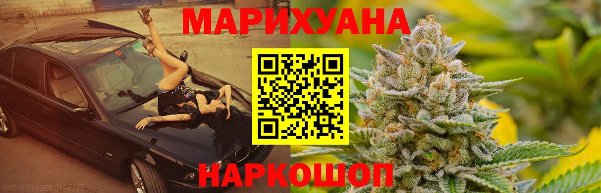 Конопля гибрид Грозный